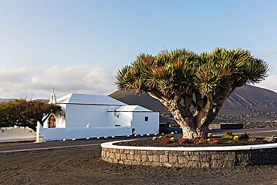 业余半老成熟自由性别的影响:虚拟公路上的多元竞速,你的身份由你定义-2