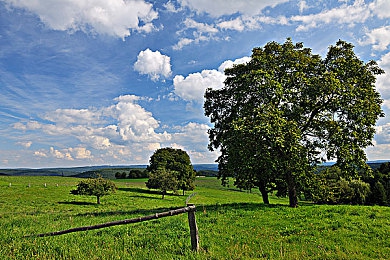 亚洲另类一区二区：霓虹幻境，穿梭古今的东方极速之旅