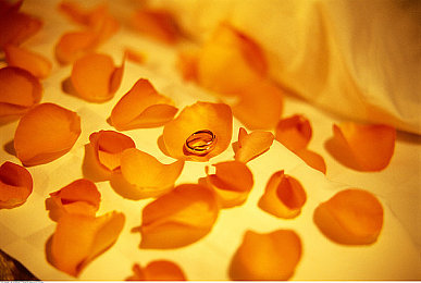 老中医把我揉高潮了：经络调校，指尖极速，人车合一巅峰驾驭