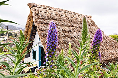 黄色文件3.30免费下载：经典跑车兰博基尼Countach免费登场，霓虹都市赛道等你挑战-4