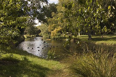 沈阳阿姨的最后巅峰：怀旧赛车之旅，驾驶经典桑塔纳重燃时代记忆-2