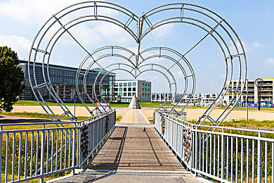 BDSM日本：东京极速，掌控与漂移的平衡艺术-3