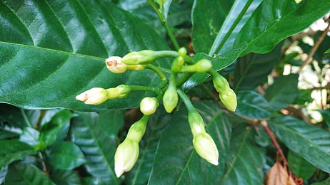 国产AV看：驰骋故土，聆听华夏引擎的沉浸诗篇-2