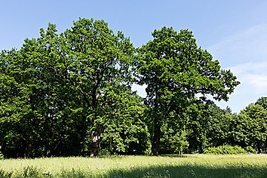 黃色软件网站下载3.0.3免费vivo版破解:极速狂飙新版本上线,动态天气与真实物理革新竞速体验-1