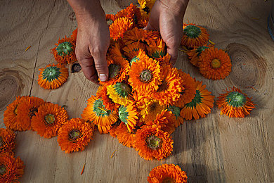 男人皇网：极限竞速地平线5终极攻略，三阶段进阶成为赛道主宰-4