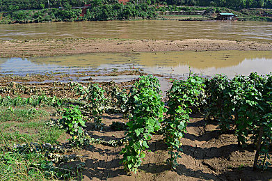 打扑克又叫又爽：极限竞速融合卡牌策略，体验脑力与速度的双重狂飙-3