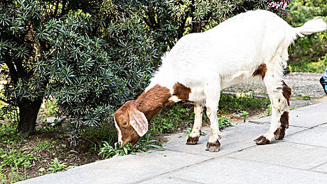 美女把衣服脱光软件:自定义涂装重塑爱车,极速赛道释放创意激情-2