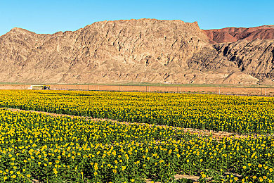 jd京东影业传媒www软件介绍：虚拟制片技术革新，体验电影级赛车模拟新纪元-4