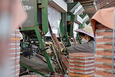 热这里:墨西哥画卷上的永不停歇引擎盛宴-2