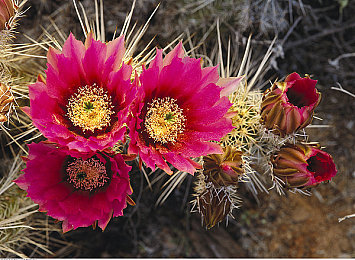 陕西妇女毛浓浓Bw:黄土地平线,极速乡愁的虚拟驰骋-3