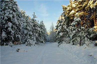 中文成人AV：硬核赛车模拟新作今日上线，极致拟真驾驶挑战你的操控极限-3