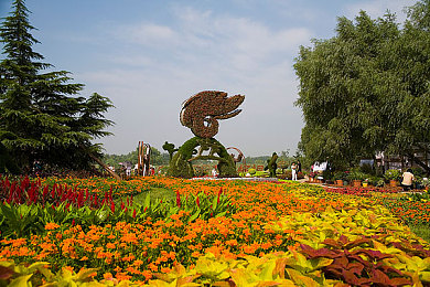 免费b站网站：地平线狂飙，墨西哥画卷中的汽车收藏与改装艺术-2