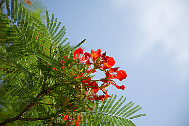 亚洲,国产成人AV：霓虹引擎轰鸣，都市赛道开放，国产改装车引爆全新竞速狂潮-3