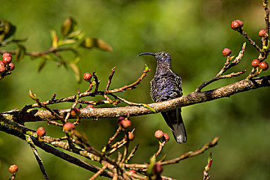 国产一区二区三区四区三区：赛道进化论，从入门到精通的驾驶哲学