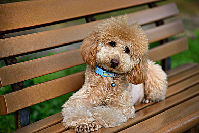 十大禁用免费APP：飞驰世界的公平赛道，纯粹竞速乐趣的良心选择-4