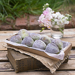 国产成人福利AV：未来都市竞速黑马问世，深度改装与多线剧情引爆街头狂飙-4