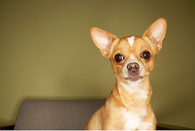 向日葵视频苏州晶体：极速解锁，未来苏州赛道隐藏涂装全攻略，畅享光影艺术之旅-4