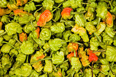 男生和女生一起差APP：双人协同驾驶新体验，默契搭档共闯极速赛道-2