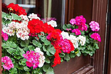 404网黄：极限竞速隐藏幽灵跑车，数据挖掘揭秘未公开传奇车型-2