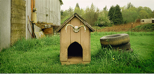 男女一起搓搓:双人同心驾驭极速,合作竞速新游深度评测今日上线-4