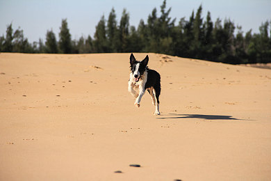 w973cc：硬核赛车新作发布，模块化改装与动态天气重塑真实驾驶体验-2