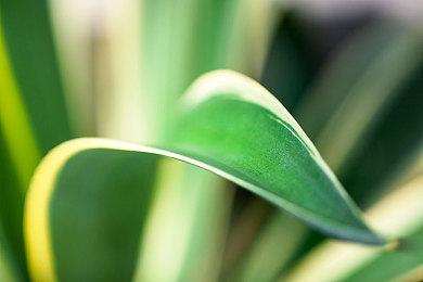 黄色WW：经典甲壳虫化身赛道猛兽，极限竞速地平线5深度改装攻略全揭秘-4