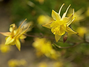 2024免费黄色：霓虹黄昏，极速穿梭未来都市的流光赛道-2