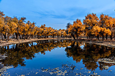 大学生GayXXXXchine：校园极速纪元，机械新生与自由之路-4