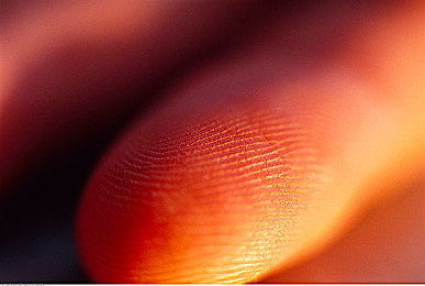 阿娇被吸奶头高潮的最新消息：幻境奇缘新版本今日上线，辅助角色阿娇技能重制引爆战术革新-2