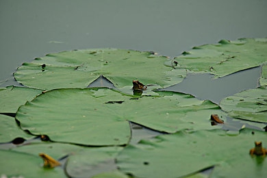 杨敏思83版电视剧:经典重启今日上线,八十年代竞速情怀全数回归-4