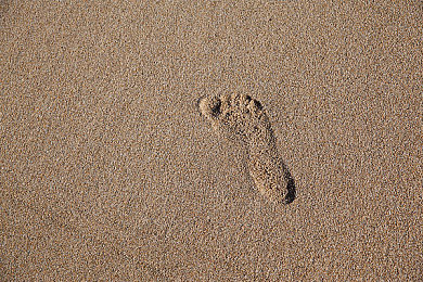 十八大禁用黄色软件：极速净化，虚拟赛道上的网络巡警使命