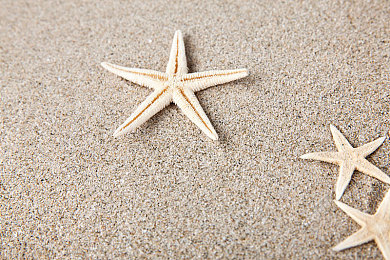 香蕉 插入桃子：黄金果核的奇幻冲刺与甜蜜奖杯的终极对接-4