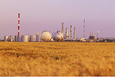 黄色vivo粉色3.3.0：极速都市新版上线，霓虹涂装与动态天气重塑竞速体验-3