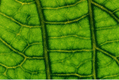 成人黄色APP:《极速狂飙:霓虹都市》正式上线,赛博朋克视觉革命引爆竞速游戏新潮流-4