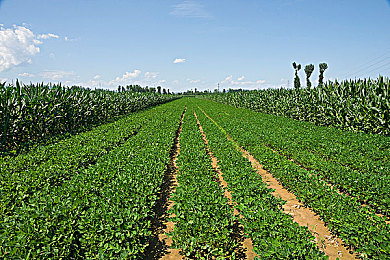 男女差差应用：竞速游戏新作引入性别差异化驾驶系统，真实数据重塑赛道策略格局-3