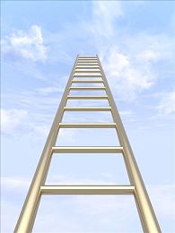 男人干女人的软件：《赛道征服者》全新DLC上线，性别对决模式引爆竞速策略新战场-4