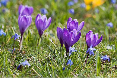 一男一女打扑克又疼又叫:策略与狂飙交织,体验极速牌局的双重博弈快感-4