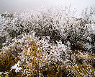 看黄的应用：追逐墨西哥金色落日，地平线5如何用光影重塑驾驶艺术-4