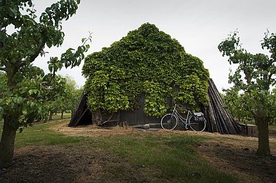 火影18十免费解锁版漫画：疾风赛道，忍术竞逐，原创篇章待启程-3