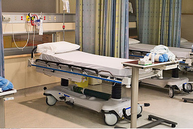 男人机机桶女人软件：钢铁猛兽与赛道女王的精密协奏曲