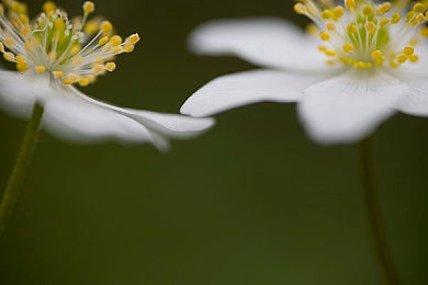 吃瓜17c：都市赛车新作登场，双重玩法揭秘隐藏剧情与引擎升级系统