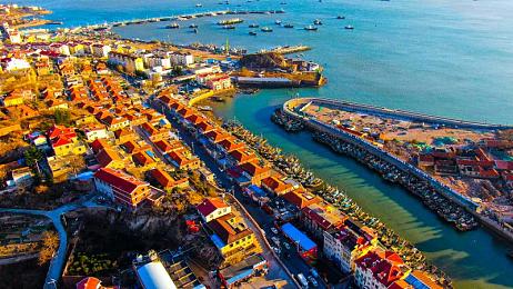 黄色APP免费下载大全3.0.3：解锁霓虹赛道隐藏彩蛋，获取限定涂装与跑车攻略-4