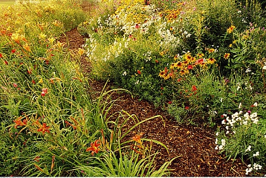 绿巨人聚宝盒黑科技：漫威竞速新作今日上线，浩克引擎开启实时变形狂飙-3