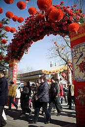 黄色软件下载教程：极限竞速地平线5新玩法，经典出租车模组安装指南出炉-3