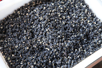 抖音风弹力摇合集反差混剪最新版本：物理竞速新作颠覆登场，弹性赛车征服动态赛道-2