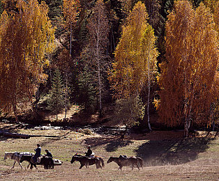 黄色网战 APP：极速狂飙，视觉风暴席卷未来都市竞速战场