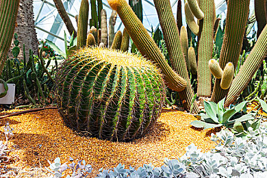 亚洲在线一区二：都市极速风云今日上线，双区赛道揭秘晋级攻略-3