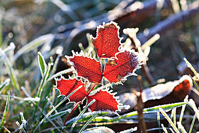 东京热成人网站app:霓虹夜幕下的疾驰,都市迷踪中的追迹-5