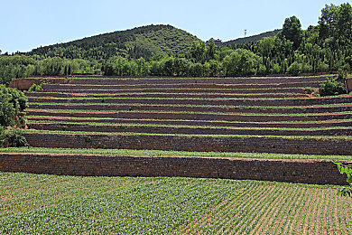 打扑克又疼又叫免费视频软件下载：狂飙牌手，融合竞速与卡牌的策略对决，体验心跳加速的翻盘乐趣