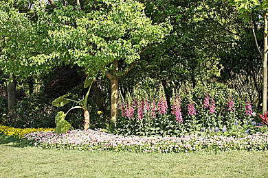 国产成人人色：霓虹调色盘，速度美学新竞速革命-5